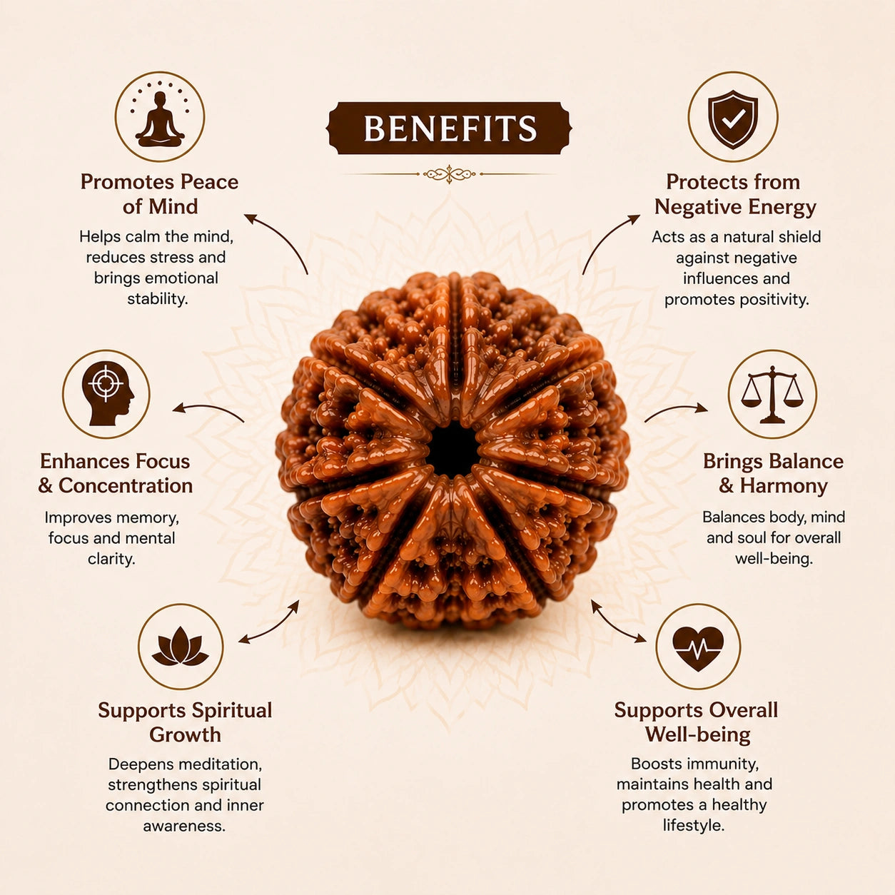 Panch Mukhi Rudraksha